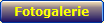 Fotogalerie