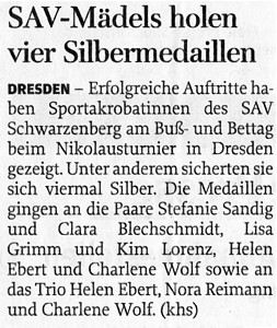 Freie Presse vom 19.November 2011